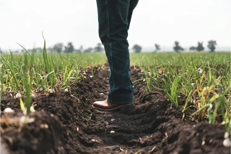 Automatização de Processos Agrícolas com Geradores de Energia