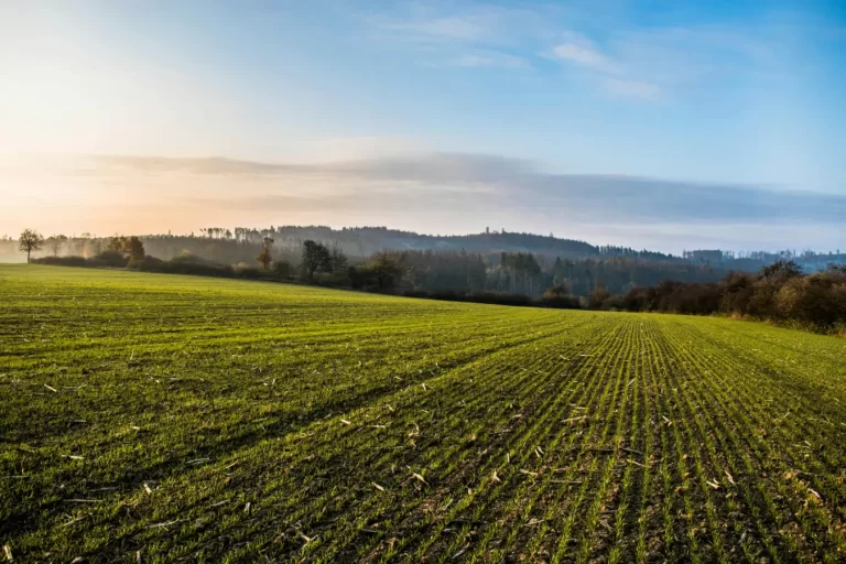 Flexibilidade Operacional: Vantagens de Usar Geradores na Agricultura