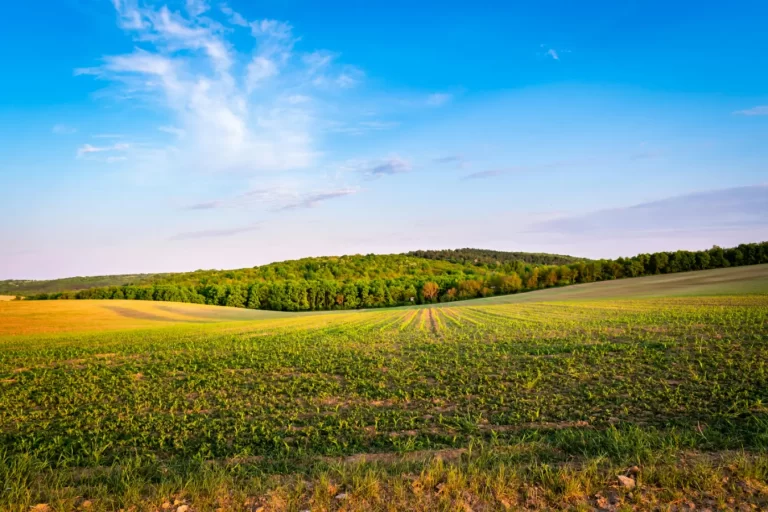 Soluções de Energia para Agricultores: Alugar ou Comprar Geradores?