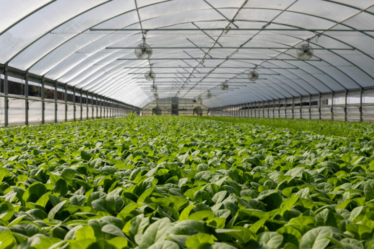 A Tecnologia por Trás dos Geradores de Energia para a Agricultura em Mato Grosso
