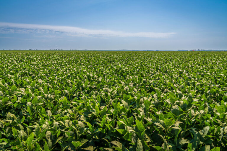 Como Geradores de Energia Facilitam a Implementação de Irrigação Inteligente em Mato Grosso