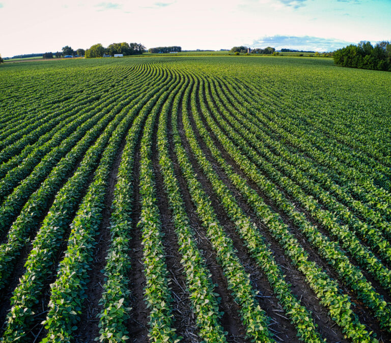 Manutenção e Suporte Técnico de Geradores: O Que os Agricultores Precisam Saber em Mato Grosso
