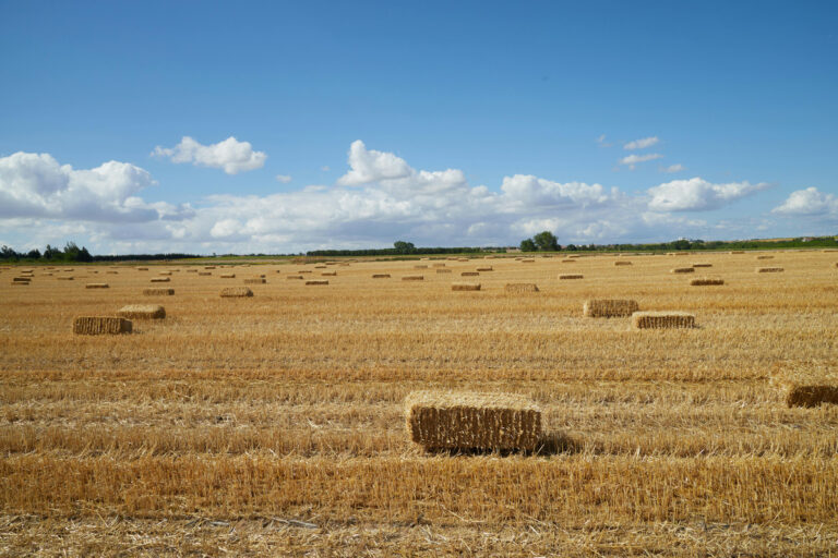 Resiliência e Segurança nas Operações Agrícolas com Geradores de Energia em Mato Grosso