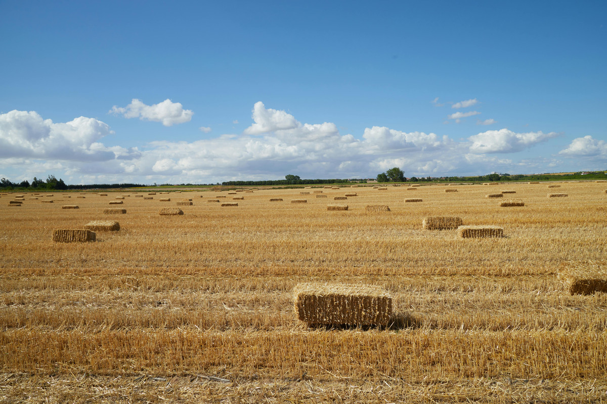 resiliencia-e-seguranca-nas-operacoes-agricolas-com-geradores-de-energia-em-mato-grosso