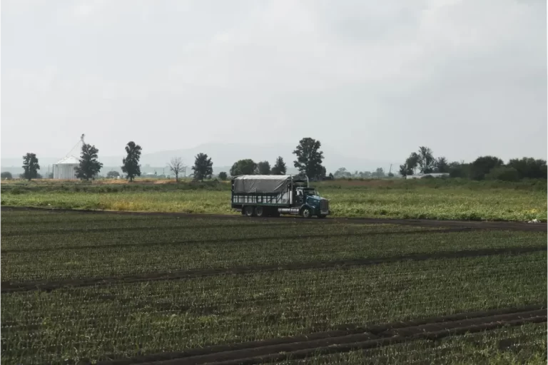 Como Geradores de Energia Contribuem para a Biodiversidade no Mato Grosso do Sul